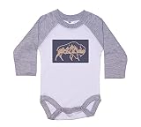 Ebenezer Fire Bison Onesie/Mountain Buffalo/Sublimated Design/Western Baby Bodysuit/Super Soft (GREY RAGLAN, 12-18M)