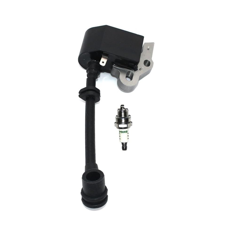 Bobine d'allumage résout les problèmes de démarrage pour Mac 835S 836S 838S 839 S34P S38P S39P