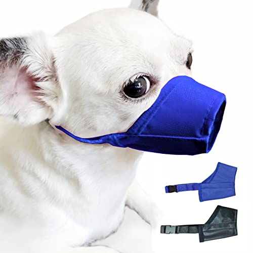 Top 10 Best Chihuahua Muzzles Reviews & Comparison in 2023