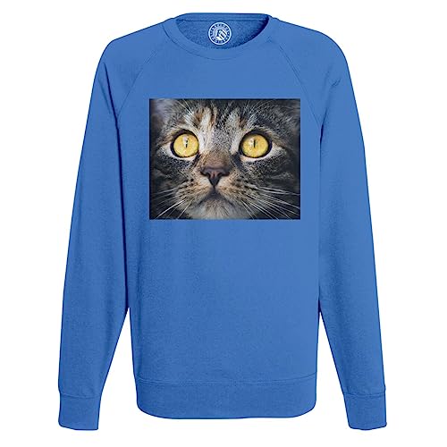 Sweat homme chat tigre europeen au portrait magnifique et finitions soignees
