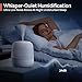 Imagen de Clarston Humidificador de niebla fría de 2 litros para dormitorio con boquilla ajustable de 360°