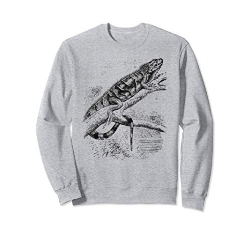 Reptil Lagarto Arte Iguana Hábitat Animal Obra de arte Idea Sudadera
