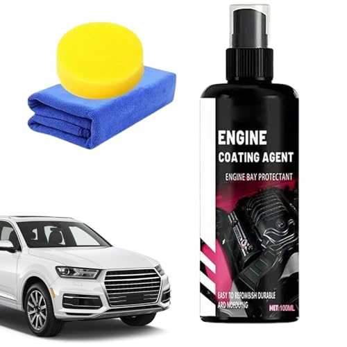 laxreheye Desengrasante motor de alta resistencia – 100 ml limpiador motor coche de alta resistencia | Limpiador de coche para piezas mecánicas compartimento exterior | Moto Casa