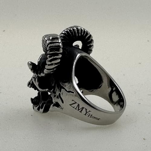 Image of Genuine Stainless Steel Ring Jewelry for Men Fashion Punk Biker Skull Rings