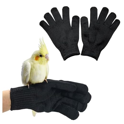 QBLEEV Bird Training Anti-Bite Gloves, Small Animal Handling Gloves, Chewing Protective Gloves for Parrot Squirrels Hamster Hedgehog (1 Pair)