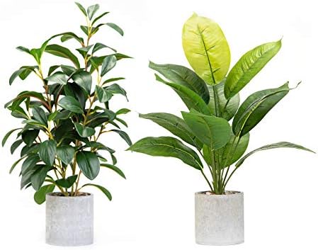 Velener 2Pc Ficus Tree & Fiddle Leaf Fig Tree Artificial in Indoor Planter 20"- Rustic Home Decor Farmhouse Kitchen Living Room Tall Floor Plants Office Bathroom Patio Sage Green House Plants Tabletop