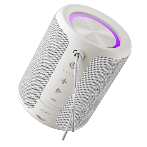 DUDGSIS Portable Bluetooth Speaker (Gray)
