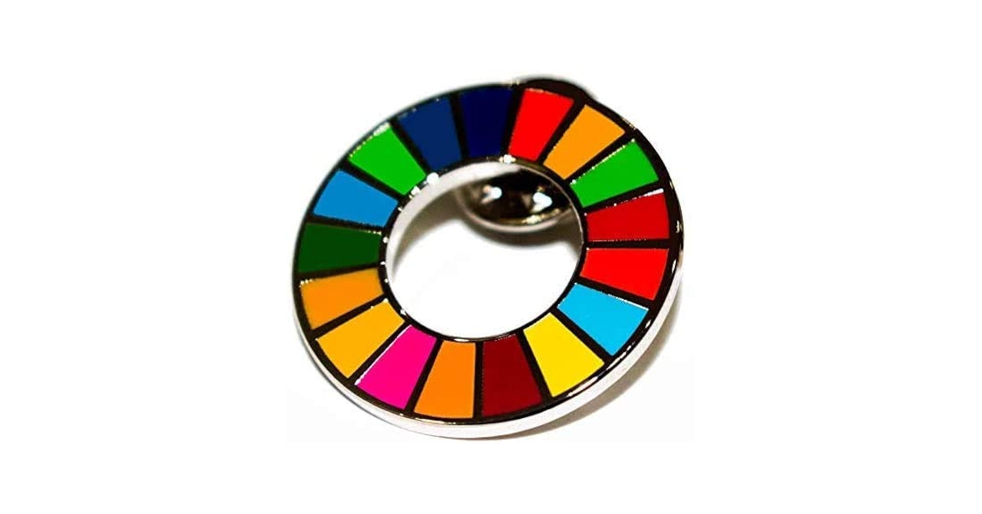 Amazon.co.jp: SDGs 国連 17色 公式 ピンバッジ バッジ バッチ