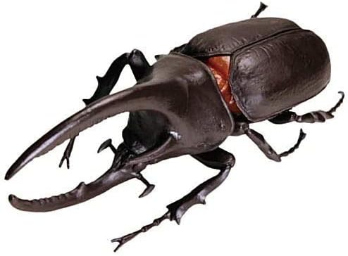 Amazon 昆虫の森 世界のカブトムシ対抗戦 8 ネプチューンオオカブト 茶色 単品 通販