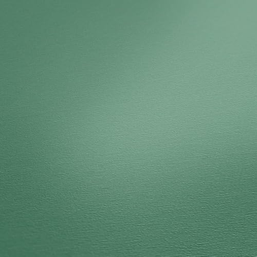A.S. Création Tapete Grün - hochwertige einfarbige Vliestapete 395801 mit leichter Struktur - Wandtapete für verschiedene Wohnräume auf 10,05m x 0,53m - Made in Germany