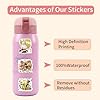110PCS Japanese Anime One Piece Stickers,Hot Japanese Cartoon Anime Vinyl Sticker for Water Bottle Laptop Phone Scrapbooking Journaling for Adults Teens for Party Supply Favor Decor - Image 4