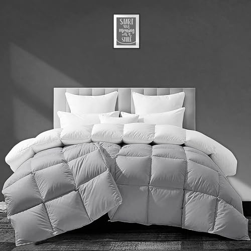 Image of Luxurious 500 GSM Winter Comforter King Size (92 inchX106 inch) - Premium Collection Heavy Winter Comforter 500 GSM Microfiber Fill - Duvet /Blanket King Size - White /Silver Grey Color