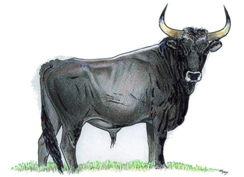 DIGITAL BIRD Isobloc 100Pz - Isolatori Per Picchetti Fino A 14 Mm, Nero, Rinforzati