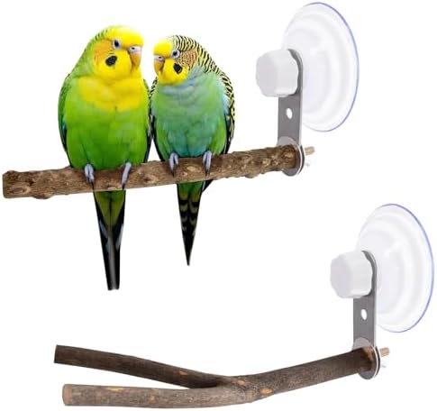 Bird Perch for Window Watching – Which 5 Will Transform Your View? 4 2 Pcs Natural Bird Perch Stand with Suction Cup Window Birds Perch for Window Mirror Car Shower Ceramic Tiles Bath Wood Training Perch, for Bird, Cockatoo, Macaw, Parakeet