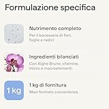 Illica B0CVP5DZWY lato 4