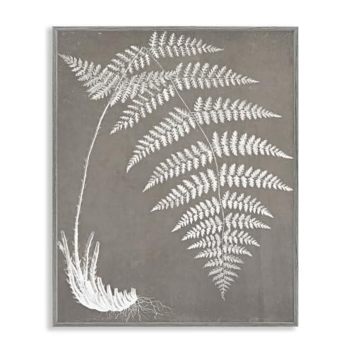 Fern Leaves Roots Botanical Study, 24 x 30 Inch Framed Giclée Print