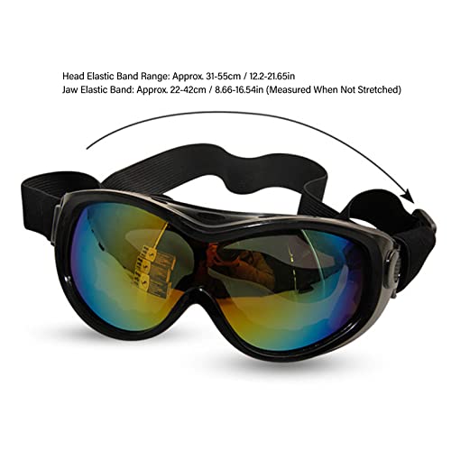 Lunettes de soleil de gros chien pour stopper les irritations oculaires liées au vent