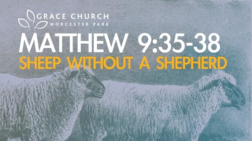 Matthew 9:35-38 - Sheep without a Shepherd cover art