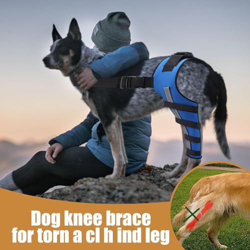 Kustimantu Rückenbandage für Hunde, Rückenstütze für Hunde, Fuß bis Hüfte gemeinsam, von Hüfte bis Hüfte, Schutz von Wunden, tragbar, für Haustiere