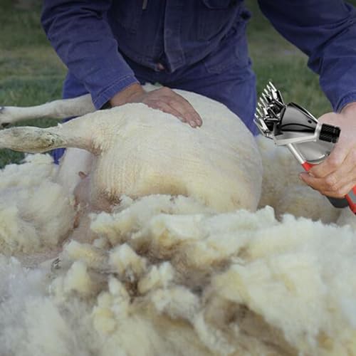 HYZHANHONG tosquiadeira de ovelhas, tosquiadeira de ovelhas elétrica, 6 velocidades, 2800RPM tosquia