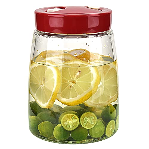 Wandeli 1.4L Mason Fermentation Jar