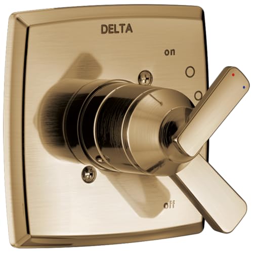 Kit garniture douche Delta Ashlyn or brossé double fonction chic - 2