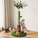KratzsäUle für Katzen, 100 cm Hoher Kratzbaum Klein mit Spielzeug