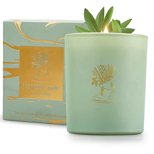 Top 10 Long Lasting Scented Candles of 2022 Katynel