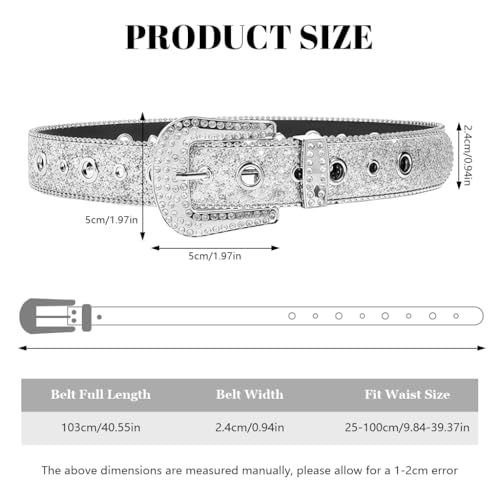 SANNIDHI silver belt – image 2