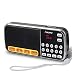 Aocome Portable Mini AM FM Radio Clear Speaker Music Player, Micro SD/TF Card Slot, USB Charging Cord, Rechargeable Li-ion Battery, Earphone Jack (BM8 Black)