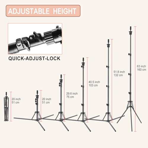 Tête de Perruque en Toile Haute Densité et Son Support de Fixation Robuste