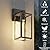 Outdoor Wall Lights, 12.4 Inch Waterproof Lanterns with Frame and Clear Glass Shade, Exterior Front Porch Lights Matte Black Wall Sconce, Modern Mounted Lighting for Patio Entryway Hallway, 2 Pack