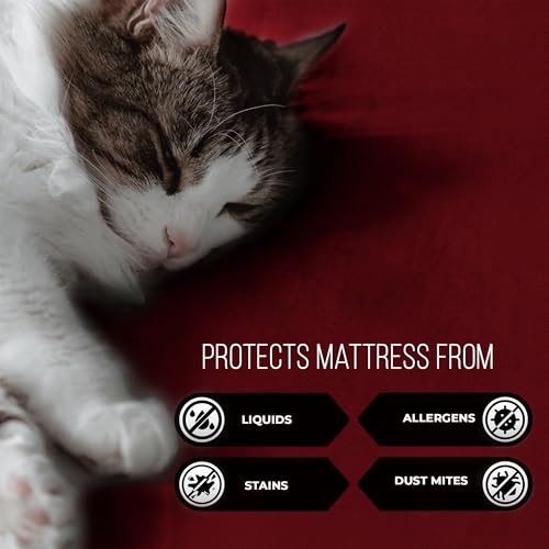 Image of 100% Waterproof Premium Cotton Feel Mattress Protector Single Size, 72x36 Inches | Breathable and Hypoallergenic Ultra Soft Fitted Bed Protector Cover 72 inchx36 inch - Single, Maroon