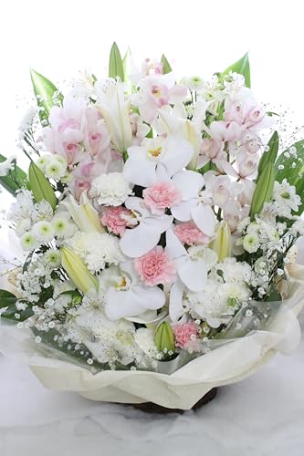 Ԃ   AWg ԁyAWLz (sN)