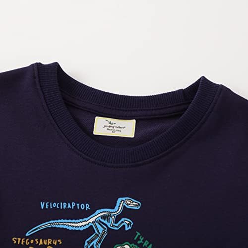 HSTiSan Toddler Boys Cotton Sweatshirt Luminous Dinosaur Pattern Pullover Sweater Long Sleeve Crewneck Tops Tee 2-7T 3 41sDjIkA1QL. AC