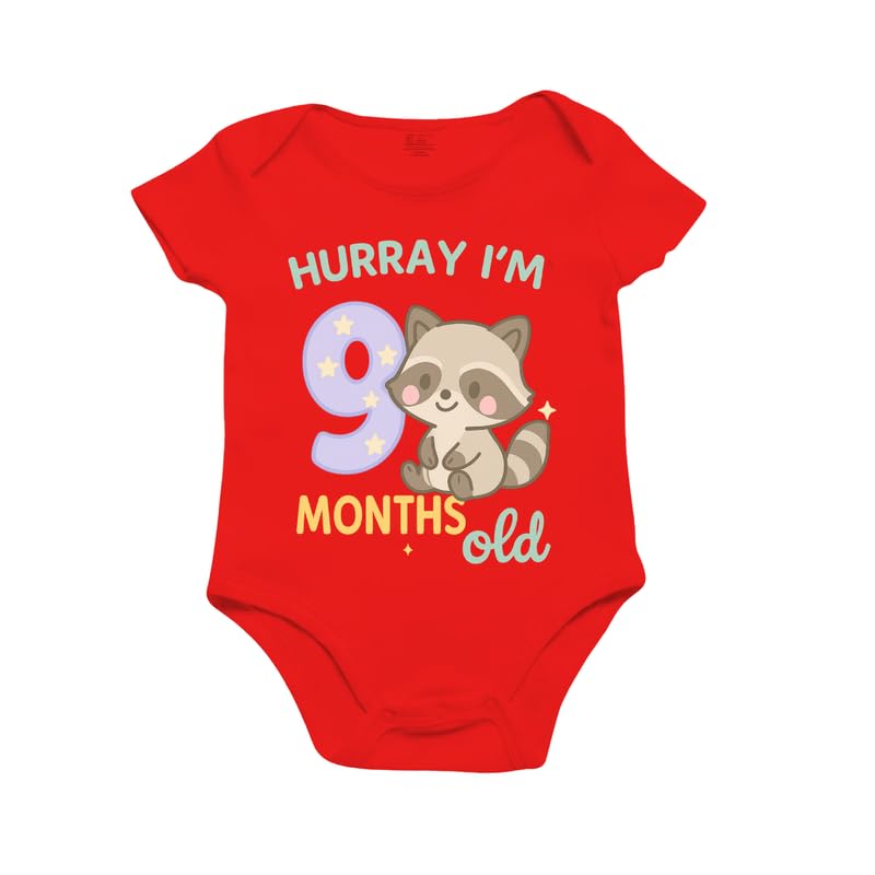 Image of Monthly Birthday Romper for Newborn Baby | Unisex Half Sleeve Bodysuit with Envelope Neck | Soft Cotton Outfit with 1 to 12 Month Print | Comfortable Infant Wear for Boys & Girls