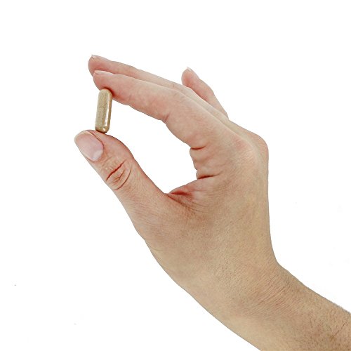 Now Hawthorn Berry 540Mg, 100 Veg Capsules (Pack Of 4) #TOP4