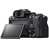Sony a7R IV Full Frame Mirrorless Camera Body ILCE-7RM4A/B Filmmaker's Bundle Including DJI RS 3 Mini Gimbal Stabilizer Kit + Deco Gear Photography Backpack + 64GB High Speed Card & Software