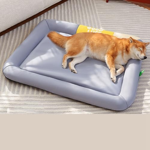 [Cm] ybgp p ӂӂ h JE`xbh ybgxbh hbOxbh 薰 ps[  VjA V  L L  xep  t  H ~ 03 I[V[Y    ybgpi ^/^/