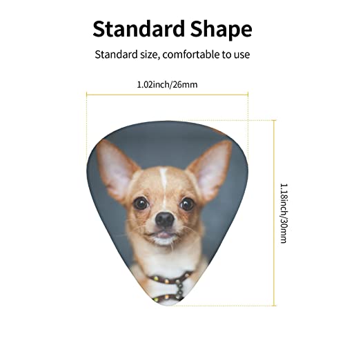 Ensemble de 12 médiators de guitare Chihuahua mignons pour guitare acoustique, guitare électrique, contrebasse, ukulélé - Les Beatles, Paul McCartney, John Lennon, RIngo Starr, George Harrison Ensemble de 12 médiators de guitare Chihuahua mignons pour guitare acoustique, guitare électrique, contrebasse, ukulélé – Image 5