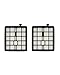 Green Label 2 Pack Replacement HEPA Filter F45 for Dirt Devil Canister Vacuum Cleaners (Compares to 2KQ0107000). Fits: Pets SD40000 and EZ Lite SD40010