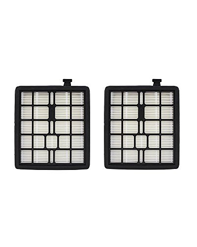 Green Label Brand 2 Pack Replacement HEPA Filter F45 for Dirt Devil Canister Vacuum Cleaners (Compares to 2KQ0107000). Fits: Pets SD40000 and EZ Lite SD40010