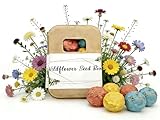 6Pack Colorful Wildflower Seed Ball Plantable Paper Favors, Easter Basket Essentials - Handmade Non-GMO, Gardening Gift for Beginner, Kids & Adults