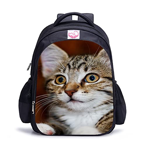 Sac à dos étanche chat pour protéger vos affaires de la pluie sans vous alourdir