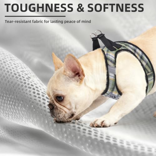 Image of PUPTECK Adjustable Dog Harness Collar and Leash Set Step in No Pull Pet Harness for Small Medium Dogs Puppy and Cats Outdoor Walking Running, Soft Mesh Padded Reflective Vest Harnesses, Grn&YLW, S