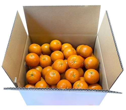 [元井農園]奄美たんかん良品 5kg タンカン 果物 くだもの フルーツ 奄美たんかん 果実 ジューシー 甘み 酸味 美味しい おいしい ご褒美 贅沢 ごほうび