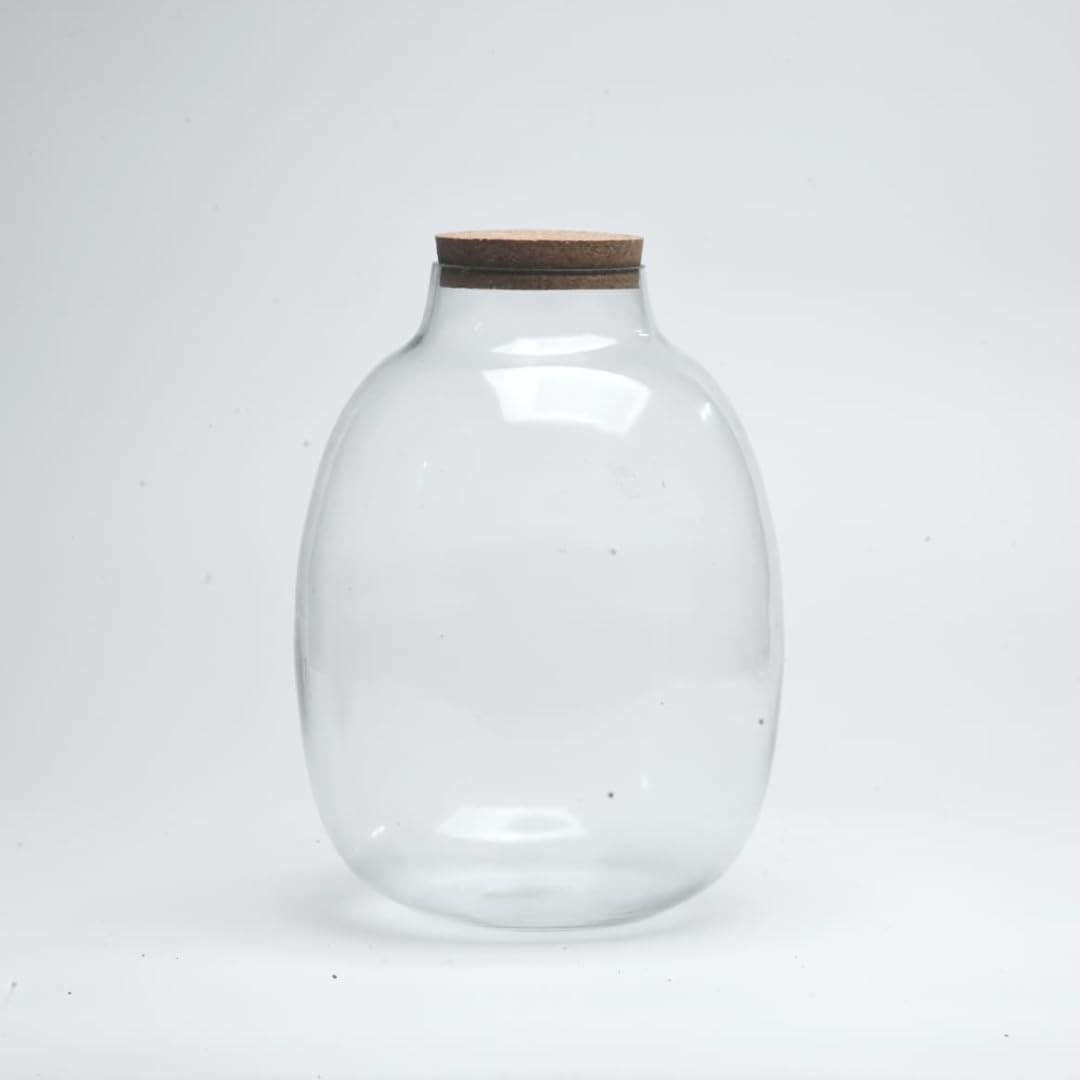 10″ Oakley Closed Terrarium Glass Jar | DIY Glass Jar with Cork Lid for Plants & Home Décor | Terrarium Supplies India-image-37