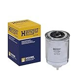 Hengst Filtration Hengst Fuel Filter - Inline - H131WK