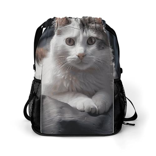 FCTVSKLN Drawstring Backpack Cat on Mattress Printed Drawstring Bags Dry And Wet Separation Gym Sack with Shoes Compartment, Style, 45.5x41.5x36cm