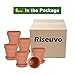 Riseuvo 5 Inch Terra Cotta Pots with Saucer - 6 Pack Clay Flower Pots with Drainage, Great for Plants, Crafts, Wedding Favor (5 inch)